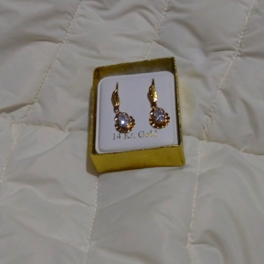 Earrings they are brand new